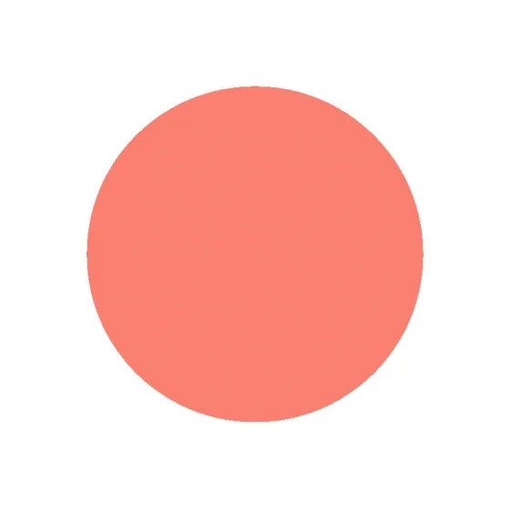 Epitact Orthèse Rigide de...