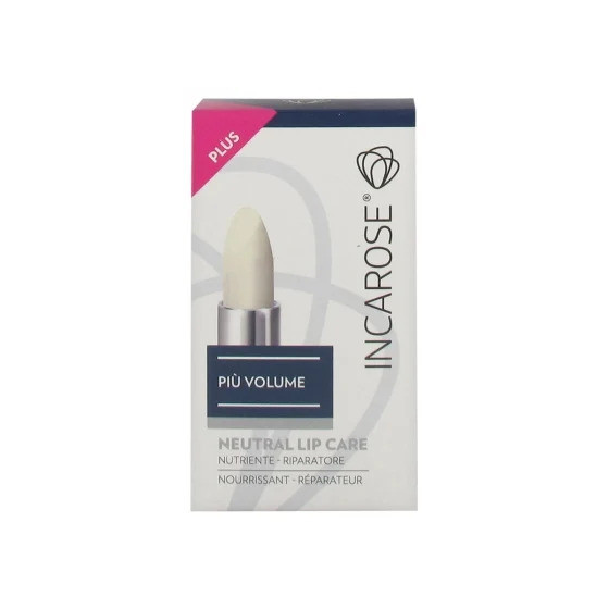 Insect Ecran Familles Lot...