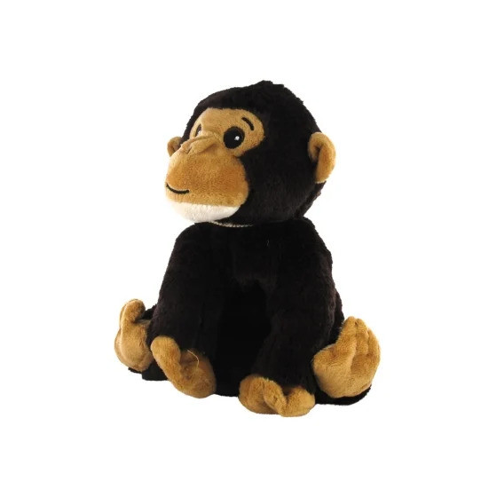 Solaray Cat's Claw - Griffe...